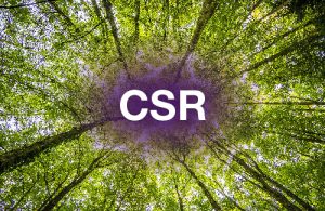 Trees overhead with text CSR (corporate social responsibility) 