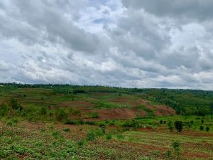 Fields in Rwanda 